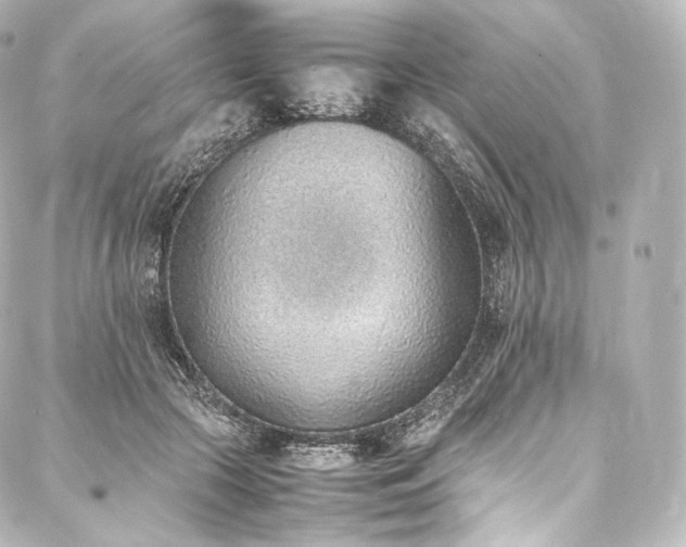 X0000088150553200705141551