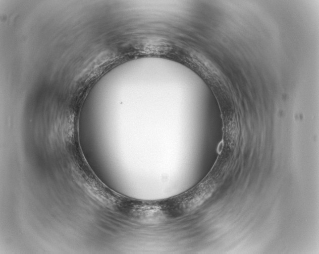 X0000088150554200705141551