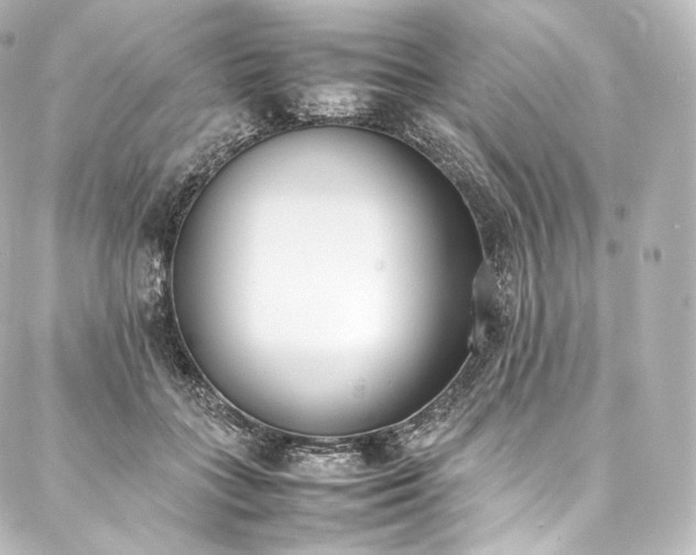 X0000088150555200705141551