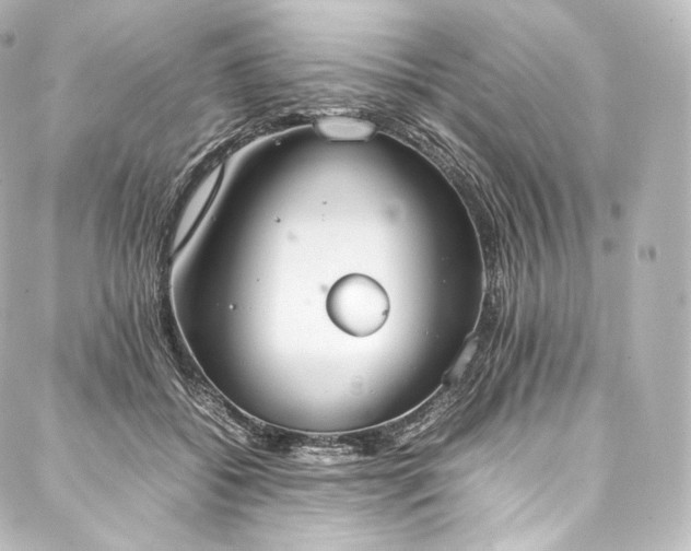 X0000088150556200705141551