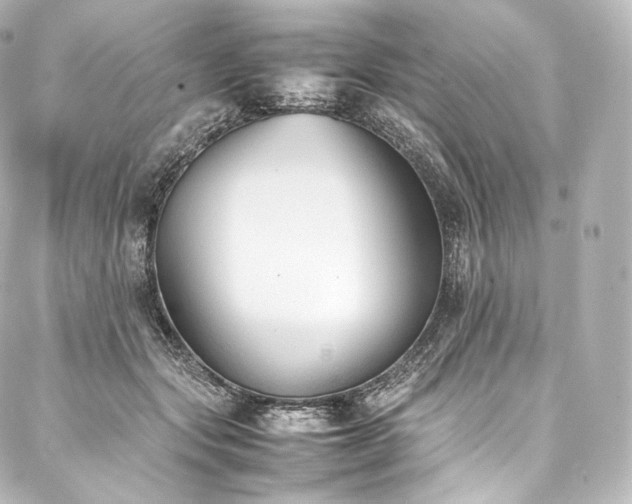 X0000088150557200705141551