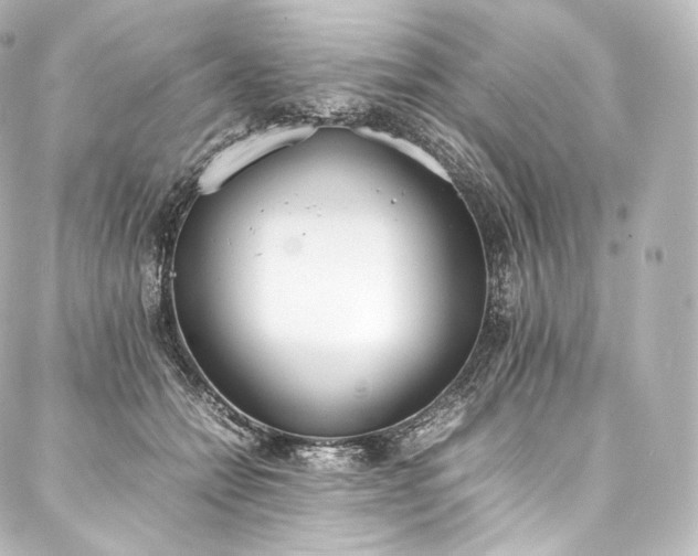 X0000088150558200705141551