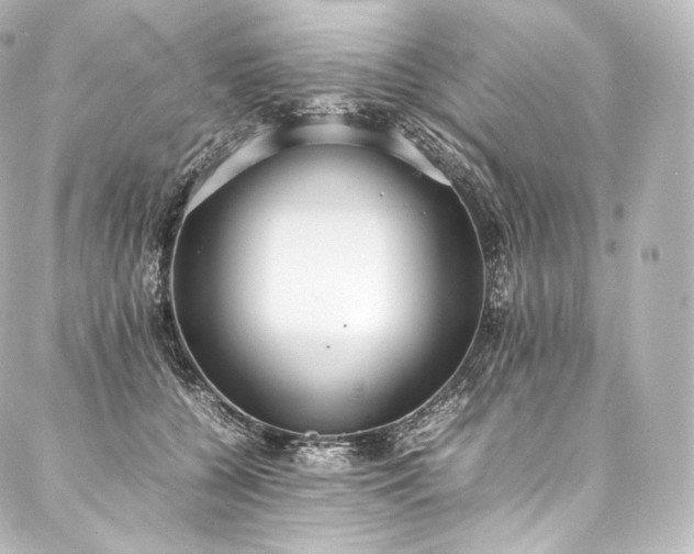 X0000088150560200705141551