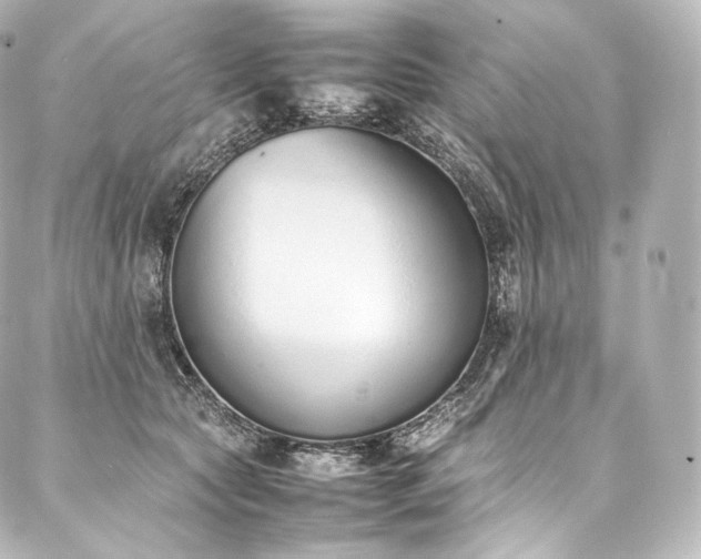 X0000088150561200705141551