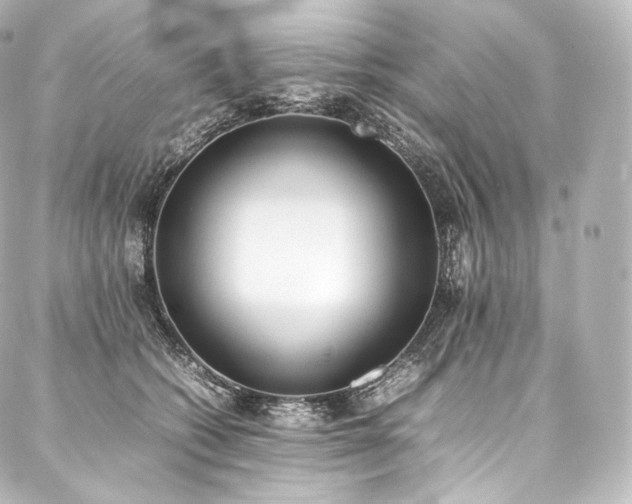 X0000088150562200705141551