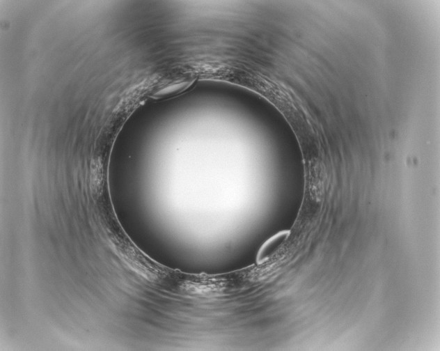 X0000088150563200705141551