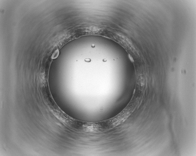 X0000088150564200705141551