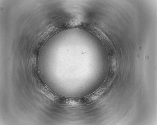 X0000088150565200705141551