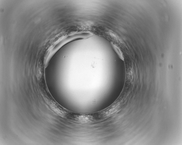 X0000088150566200705141551