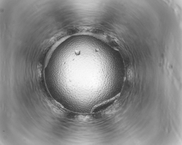 X0000088150570200705141551