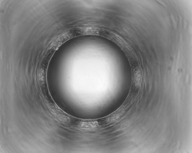 X0000088150571200705141551