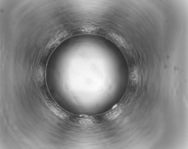 X0000088150572200705141551