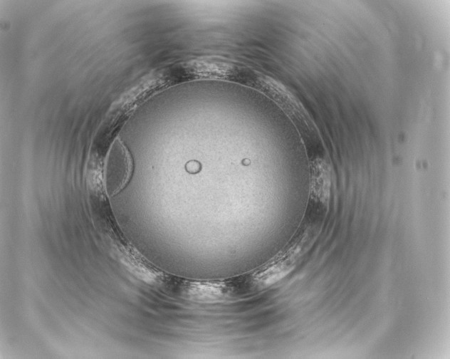 X0000088150573200705141551