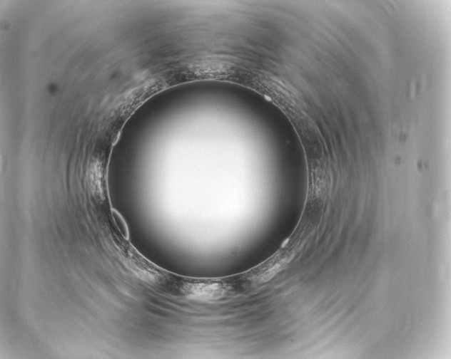 X0000088150575200705141551