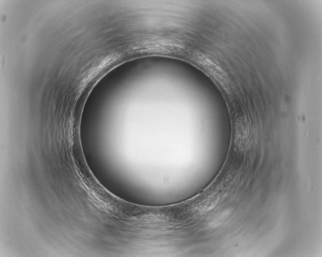 X0000088150578200705141551