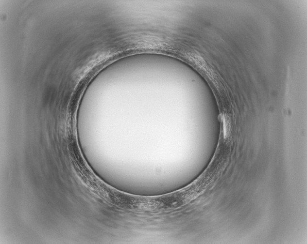 X0000088150579200705141551