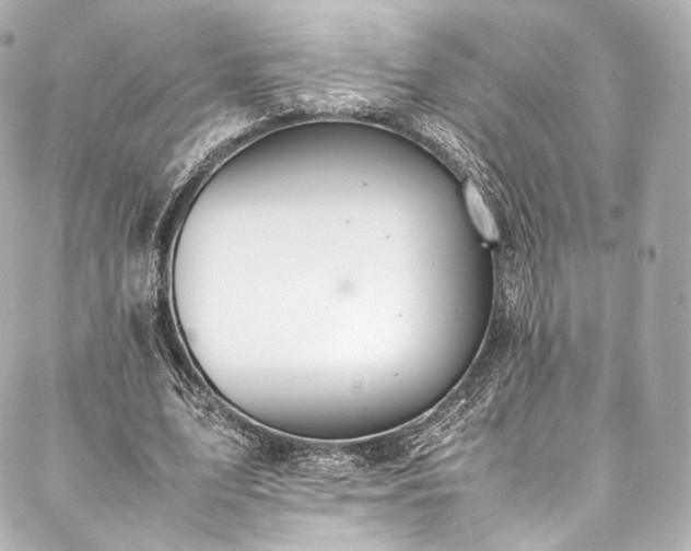 X0000088150583200705141551