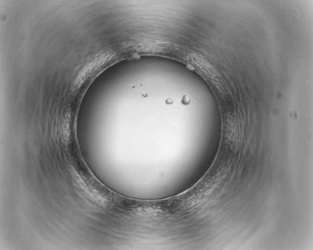 X0000088150586200705141551