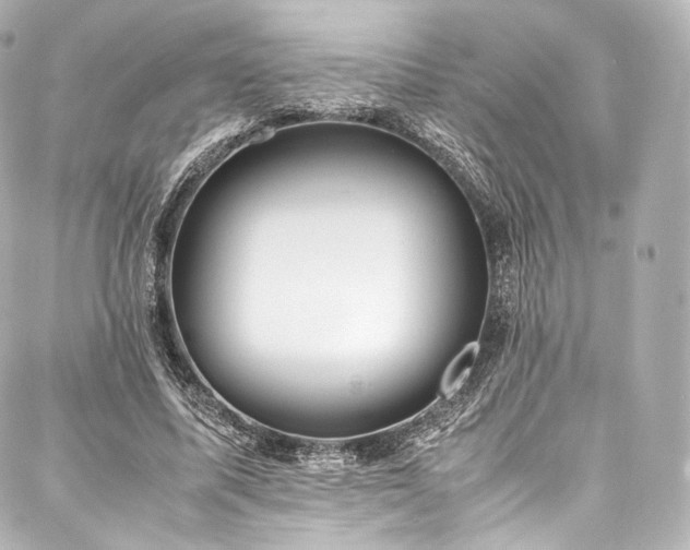 X0000088150587200705141551