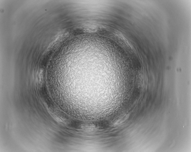 X0000088150598200705141550