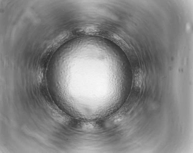 X0000088150618200705141550
