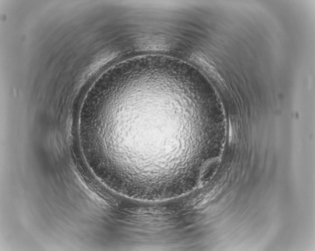 X0000088150627200705141549