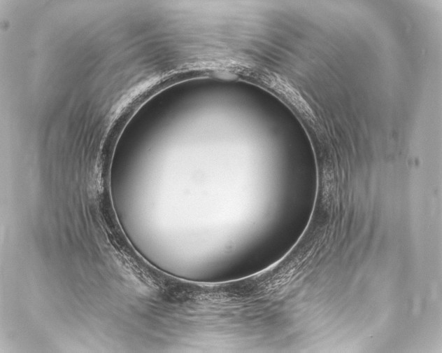 X0000088150628200705141549
