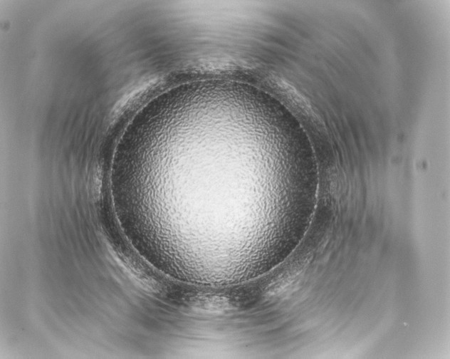 X0000088150640200705141549
