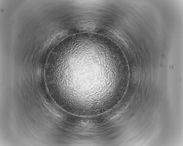 X0000088150641200705141549