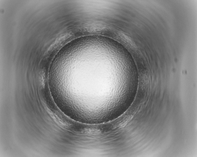 X0000088150644200705141549