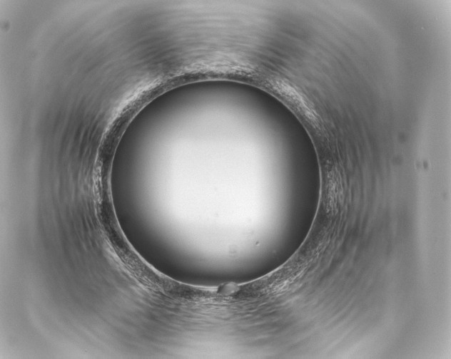X0000088150680200705141549