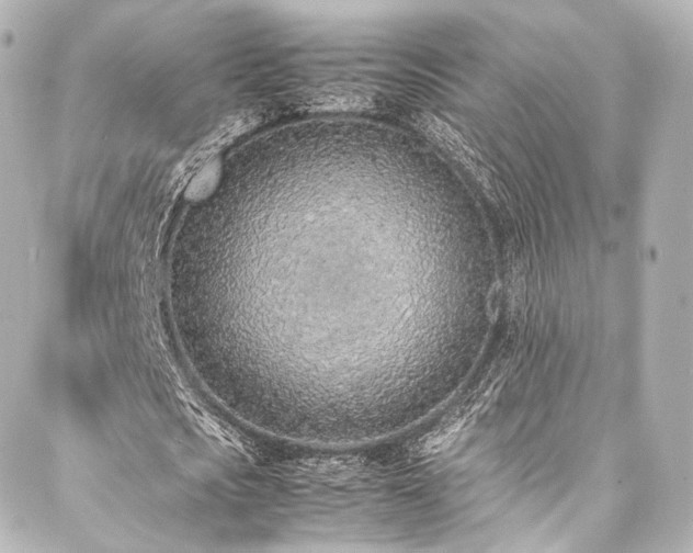 X0000088150721200705141548