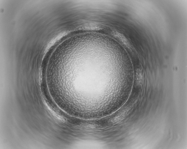 X0000088150726200705141548