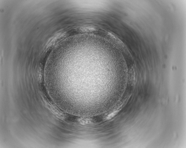 X0000088150762200705141548