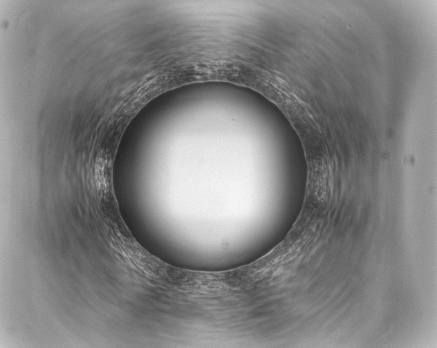 X0000088150770200705141548