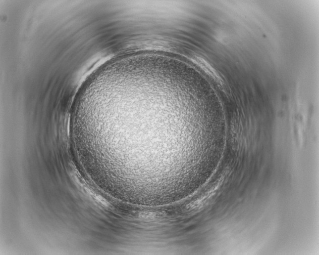 X0000088150790200705141547