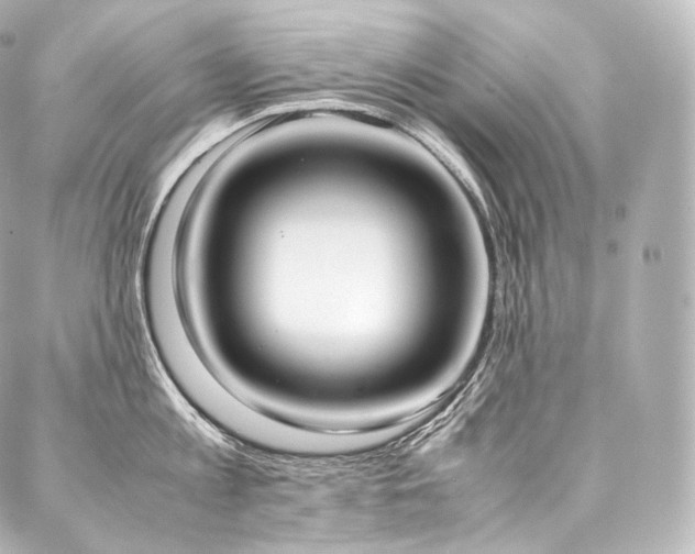 X0000088150813200705141547