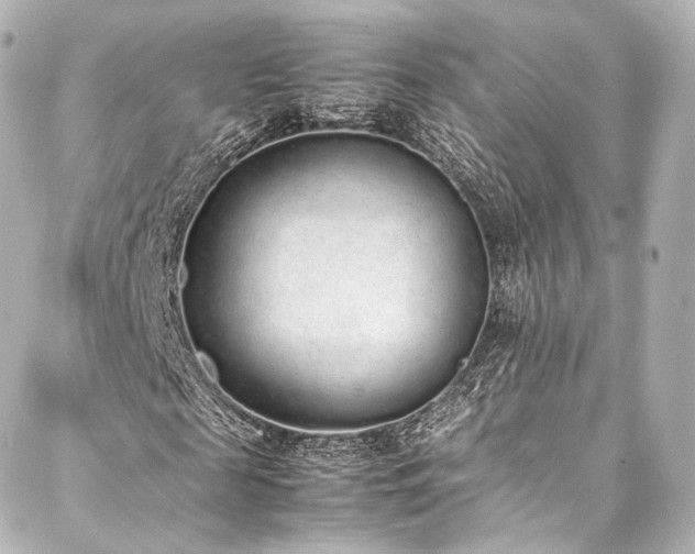 X0000088150817200705141546