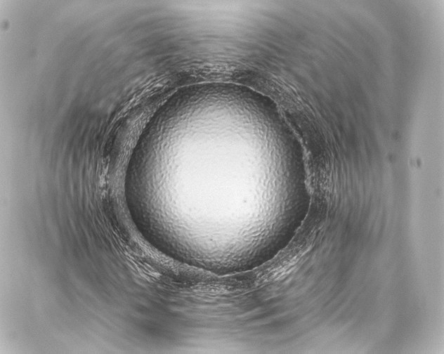 X0000088150818200705141546