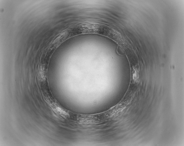 X0000088150819200705141546