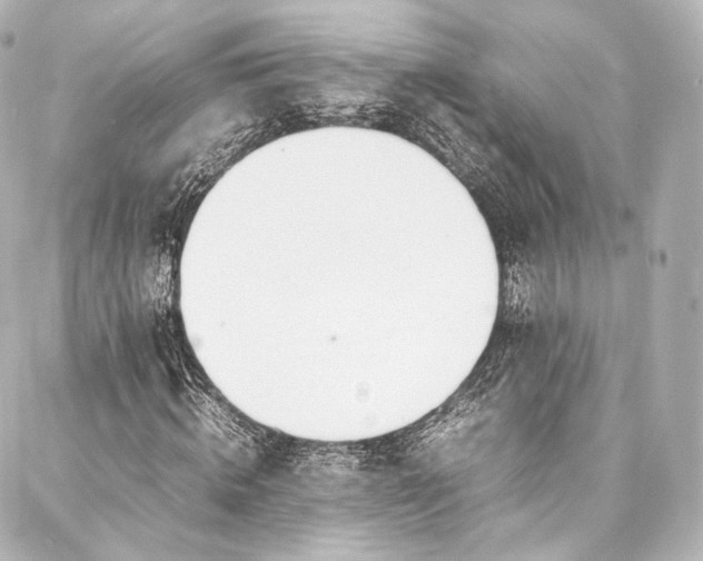 X0000088150820200705141546