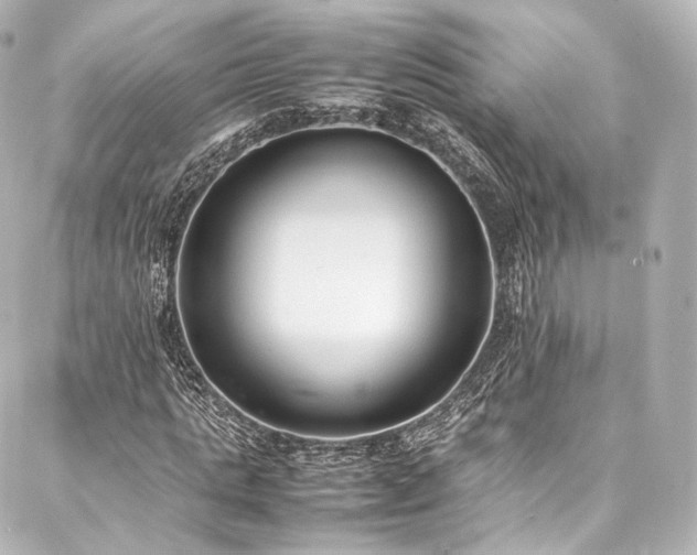 X0000088150821200705141546
