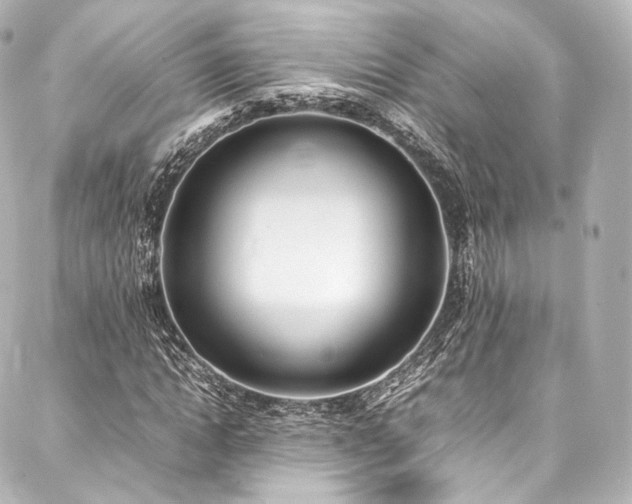 X0000088150822200705141546