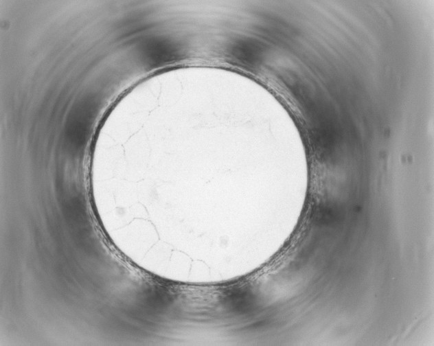 X0000088150856200705141547