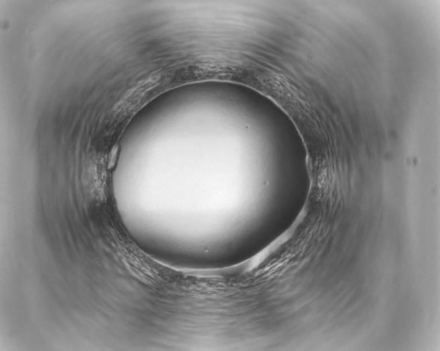X0000088150868200705141546