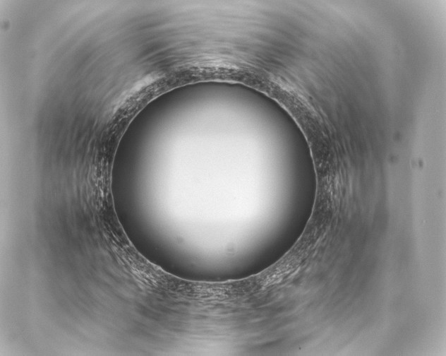 X0000088150870200705141546