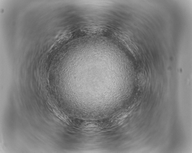 X0000088150913200705141544