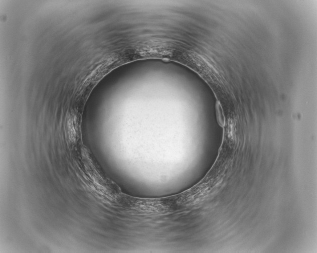 X0000088150915200705141545