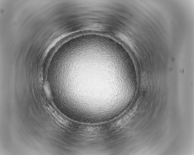 X0000088150923200705141545