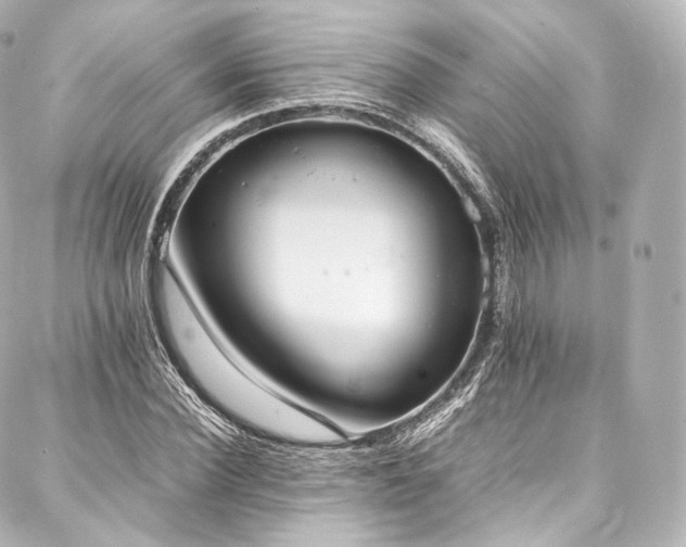 X0000088150924200705141545